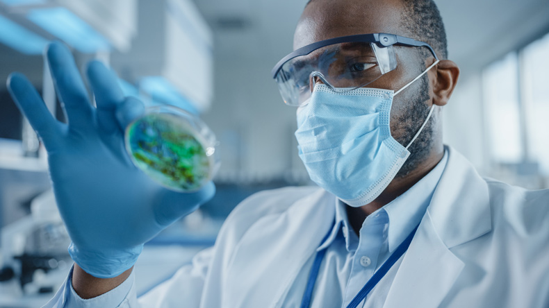 man working in lab looking at green substance in lab dish